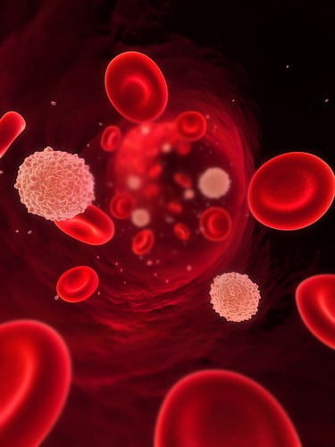 Симптомы рака крови у детей 5 лет
