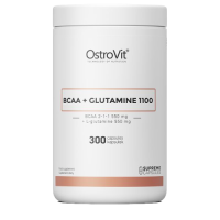 ВСАА + Глютамин 1100 (BCAA + Glutamine 1100), OstroVit, 300 капсул
