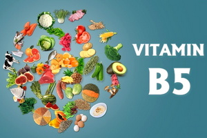 Функции витамина B5 (пантотеновой кислоты)