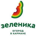 Зеленика Зеленика