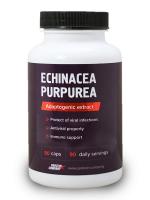 Экстракт эхинацеи Echinacea purpurea (Protein Company), 90 кап