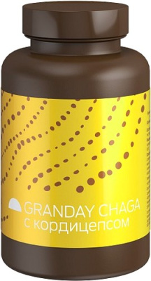 Грандэй чага (Granday chaga) Арт Лайф (концентрат для приготовления напитка на основе чаги) - 03