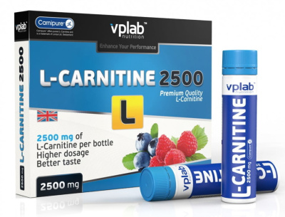 VPLab L-Carnitine 2500