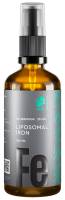 Липосомальное железо (Liposomal Iron Fe) для взрослых и детей, 25 мг, SmartLife, 100 мл