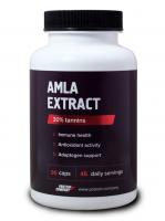 Экстракт амлы Amla extract  (Protein Company), 90 капсул